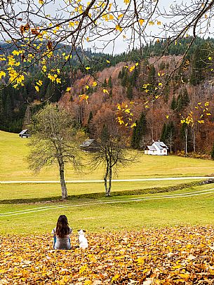 The meadows of Val Bartolo. Here you can immerse yourself in greenery, an expanse of meadows dotted with traditional mountain huts, characterised by wood and sloping roofs with balconies adorned with flowers. Landscapes and trekking in autumn.