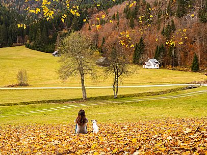 The meadows of Val Bartolo. Here you can immerse yourself in greenery, an expanse of meadows dotted with traditional mountain huts, characterised by wood and sloping roofs with balconies adorned with flowers. Landscapes and trekking in autumn.