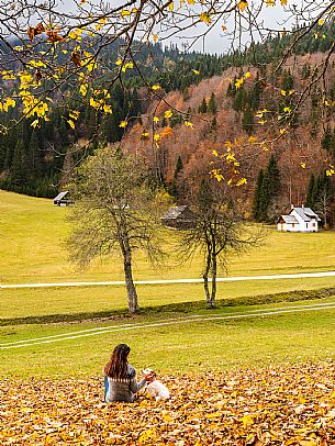 The meadows of Val Bartolo. Here you can immerse yourself in greenery, an expanse of meadows dotted with traditional mountain huts, characterised by wood and sloping roofs with balconies adorned with flowers. Landscapes and trekking in autumn.