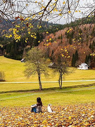 The meadows of Val Bartolo. Here you can immerse yourself in greenery, an expanse of meadows dotted with traditional mountain huts, characterised by wood and sloping roofs with balconies adorned with flowers. Landscapes and trekking in autumn.