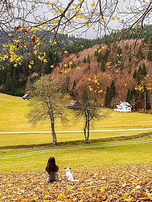 The meadows of Val Bartolo. Here you can immerse yourself in greenery, an expanse of meadows dotted with traditional mountain huts, characterised by wood and sloping roofs with balconies adorned with flowers. Landscapes and trekking in autumn.