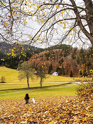 The meadows of Val Bartolo. Here you can immerse yourself in greenery, an expanse of meadows dotted with traditional mountain huts, characterised by wood and sloping roofs with balconies adorned with flowers. Landscapes and trekking in autumn.
