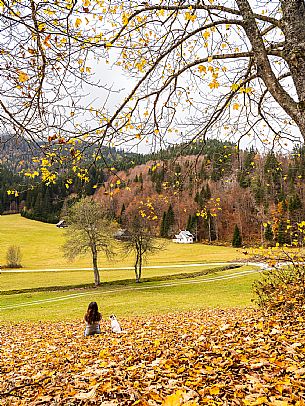 The meadows of Val Bartolo. Here you can immerse yourself in greenery, an expanse of meadows dotted with traditional mountain huts, characterised by wood and sloping roofs with balconies adorned with flowers. Landscapes and trekking in autumn.