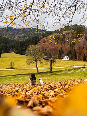 The meadows of Val Bartolo. Here you can immerse yourself in greenery, an expanse of meadows dotted with traditional mountain huts, characterised by wood and sloping roofs with balconies adorned with flowers. Landscapes and trekking in autumn.