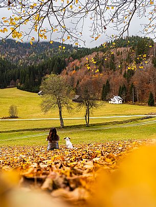 The meadows of Val Bartolo. Here you can immerse yourself in greenery, an expanse of meadows dotted with traditional mountain huts, characterised by wood and sloping roofs with balconies adorned with flowers. Landscapes and trekking in autumn.