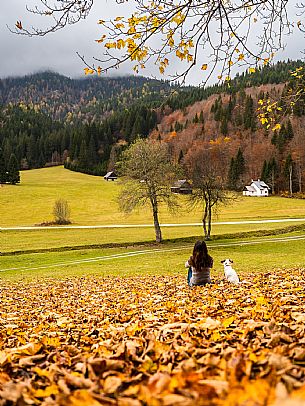 The meadows of Val Bartolo. Here you can immerse yourself in greenery, an expanse of meadows dotted with traditional mountain huts, characterised by wood and sloping roofs with balconies adorned with flowers. Landscapes and trekking in autumn.
