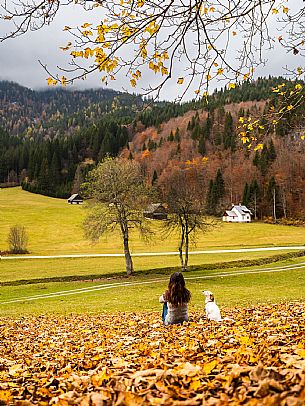 The meadows of Val Bartolo. Here you can immerse yourself in greenery, an expanse of meadows dotted with traditional mountain huts, characterised by wood and sloping roofs with balconies adorned with flowers. Landscapes and trekking in autumn.