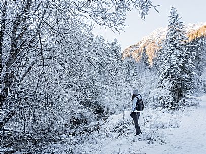 An easy walk with snowshoes or winter boots, also suitable for children, which leads from the hamlet of Riofreddo to one of the wildest and most beautiful valleys in the Tarvisio area and the Julian Alps, Cave del Predil.