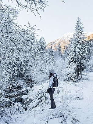 An easy walk with snowshoes or winter boots, also suitable for children, which leads from the hamlet of Riofreddo to one of the wildest and most beautiful valleys in the Tarvisio area and the Julian Alps, Cave del Predil.