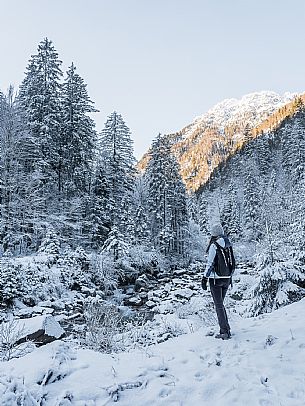 An easy walk with snowshoes or winter boots, also suitable for children, which leads from the hamlet of Riofreddo to one of the wildest and most beautiful valleys in the Tarvisio area and the Julian Alps, Cave del Predil.