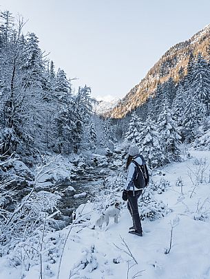 An easy walk with snowshoes or winter boots, also suitable for children, which leads from the hamlet of Riofreddo to one of the wildest and most beautiful valleys in the Tarvisio area and the Julian Alps, Cave del Predil.