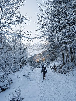 An easy walk with snowshoes or winter boots, also suitable for children, which leads from the hamlet of Riofreddo to one of the wildest and most beautiful valleys in the Tarvisio area and the Julian Alps, Cave del Predil.