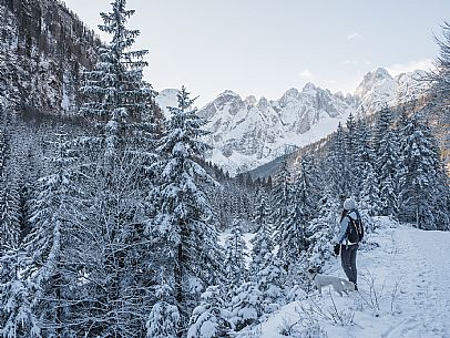 An easy walk with snowshoes or winter boots, also suitable for children, which leads from the hamlet of Riofreddo to one of the wildest and most beautiful valleys in the Tarvisio area and the Julian Alps, Cave del Predil.