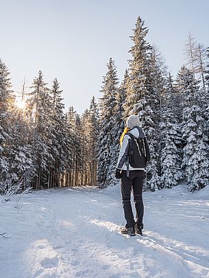 An easy walk with snowshoes or winter boots, also suitable for children, which leads from the hamlet of Riofreddo to one of the wildest and most beautiful valleys in the Tarvisio area and the Julian Alps, Cave del Predil.