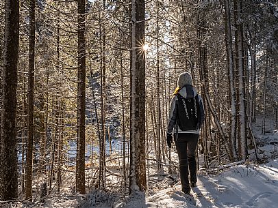 An easy walk with snowshoes or winter boots, also suitable for children, which leads from the hamlet of Riofreddo to one of the wildest and most beautiful valleys in the Tarvisio area and the Julian Alps, Cave del Predil.