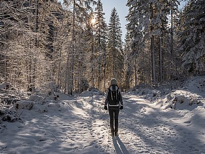 An easy walk with snowshoes or winter boots, also suitable for children, which leads from the hamlet of Riofreddo to one of the wildest and most beautiful valleys in the Tarvisio area and the Julian Alps, Cave del Predil.