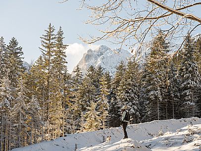 An easy walk with snowshoes or winter boots, also suitable for children, which leads from the hamlet of Riofreddo to one of the wildest and most beautiful valleys in the Tarvisio area and the Julian Alps, Cave del Predil.