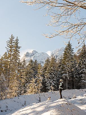An easy walk with snowshoes or winter boots, also suitable for children, which leads from the hamlet of Riofreddo to one of the wildest and most beautiful valleys in the Tarvisio area and the Julian Alps, Cave del Predil.