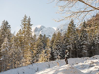 An easy walk with snowshoes or winter boots, also suitable for children, which leads from the hamlet of Riofreddo to one of the wildest and most beautiful valleys in the Tarvisio area and the Julian Alps, Cave del Predil.