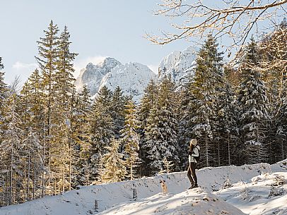 An easy walk with snowshoes or winter boots, also suitable for children, which leads from the hamlet of Riofreddo to one of the wildest and most beautiful valleys in the Tarvisio area and the Julian Alps, Cave del Predil.