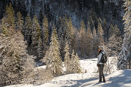 An easy walk with snowshoes or winter boots, also suitable for children, which leads from the hamlet of Riofreddo to one of the wildest and most beautiful valleys in the Tarvisio area and the Julian Alps, Cave del Predil.