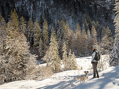 An easy walk with snowshoes or winter boots, also suitable for children, which leads from the hamlet of Riofreddo to one of the wildest and most beautiful valleys in the Tarvisio area and the Julian Alps, Cave del Predil.