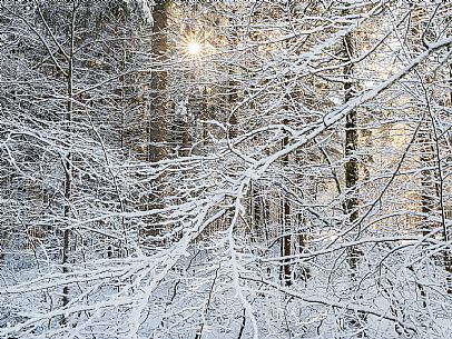 An easy walk with snowshoes or winter boots, also suitable for children, which leads from the hamlet of Riofreddo to one of the wildest and most beautiful valleys in the Tarvisio area and the Julian Alps, Cave del Predil.