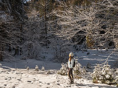 An easy walk with snowshoes or winter boots, also suitable for children, which leads from the hamlet of Riofreddo to one of the wildest and most beautiful valleys in the Tarvisio area and the Julian Alps, Cave del Predil.