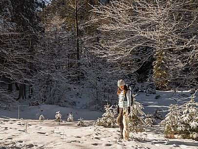 An easy walk with snowshoes or winter boots, also suitable for children, which leads from the hamlet of Riofreddo to one of the wildest and most beautiful valleys in the Tarvisio area and the Julian Alps, Cave del Predil.