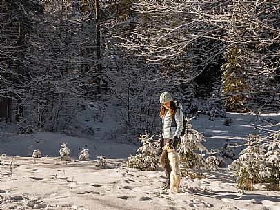An easy walk with snowshoes or winter boots, also suitable for children, which leads from the hamlet of Riofreddo to one of the wildest and most beautiful valleys in the Tarvisio area and the Julian Alps, Cave del Predil.