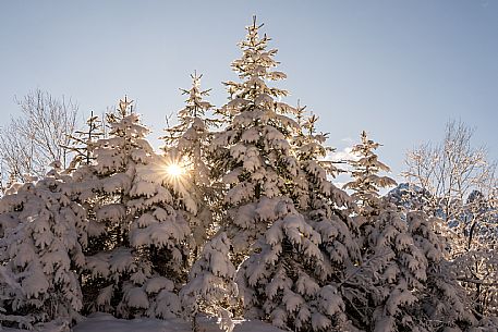 An easy walk with snowshoes or winter boots, also suitable for children, which leads from the hamlet of Riofreddo to one of the wildest and most beautiful valleys in the Tarvisio area and the Julian Alps, Cave del Predil.