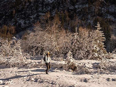 An easy walk with snowshoes or winter boots, also suitable for children, which leads from the hamlet of Riofreddo to one of the wildest and most beautiful valleys in the Tarvisio area and the Julian Alps, Cave del Predil.