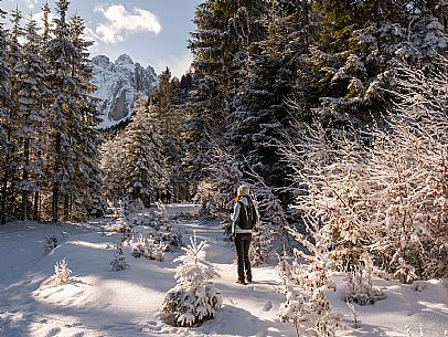 An easy walk with snowshoes or winter boots, also suitable for children, which leads from the hamlet of Riofreddo to one of the wildest and most beautiful valleys in the Tarvisio area and the Julian Alps, Cave del Predil.