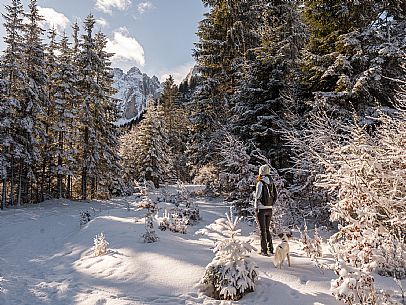 An easy walk with snowshoes or winter boots, also suitable for children, which leads from the hamlet of Riofreddo to one of the wildest and most beautiful valleys in the Tarvisio area and the Julian Alps, Cave del Predil.