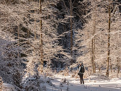An easy walk with snowshoes or winter boots, also suitable for children, which leads from the hamlet of Riofreddo to one of the wildest and most beautiful valleys in the Tarvisio area and the Julian Alps, Cave del Predil.