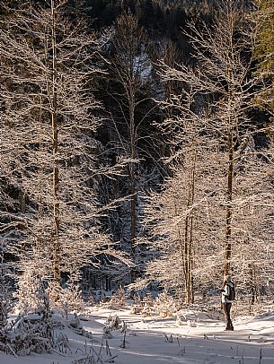 An easy walk with snowshoes or winter boots, also suitable for children, which leads from the hamlet of Riofreddo to one of the wildest and most beautiful valleys in the Tarvisio area and the Julian Alps, Cave del Predil.