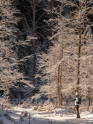 An easy walk with snowshoes or winter boots, also suitable for children, which leads from the hamlet of Riofreddo to one of the wildest and most beautiful valleys in the Tarvisio area and the Julian Alps, Cave del Predil.
