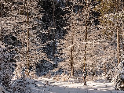 An easy walk with snowshoes or winter boots, also suitable for children, which leads from the hamlet of Riofreddo to one of the wildest and most beautiful valleys in the Tarvisio area and the Julian Alps, Cave del Predil.