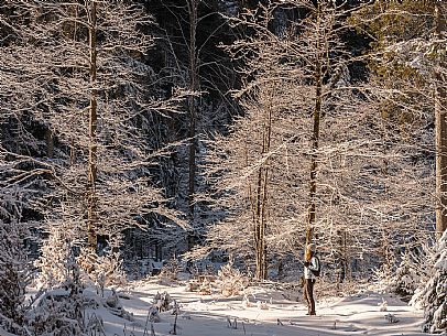 An easy walk with snowshoes or winter boots, also suitable for children, which leads from the hamlet of Riofreddo to one of the wildest and most beautiful valleys in the Tarvisio area and the Julian Alps, Cave del Predil.