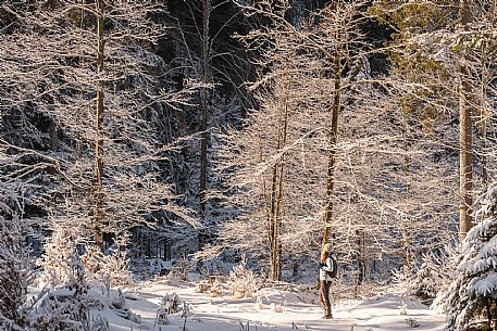 An easy walk with snowshoes or winter boots, also suitable for children, which leads from the hamlet of Riofreddo to one of the wildest and most beautiful valleys in the Tarvisio area and the Julian Alps, Cave del Predil.
