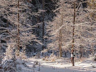 An easy walk with snowshoes or winter boots, also suitable for children, which leads from the hamlet of Riofreddo to one of the wildest and most beautiful valleys in the Tarvisio area and the Julian Alps, Cave del Predil.