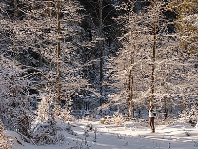 An easy walk with snowshoes or winter boots, also suitable for children, which leads from the hamlet of Riofreddo to one of the wildest and most beautiful valleys in the Tarvisio area and the Julian Alps, Cave del Predil.