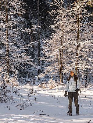 An easy walk with snowshoes or winter boots, also suitable for children, which leads from the hamlet of Riofreddo to one of the wildest and most beautiful valleys in the Tarvisio area and the Julian Alps, Cave del Predil.