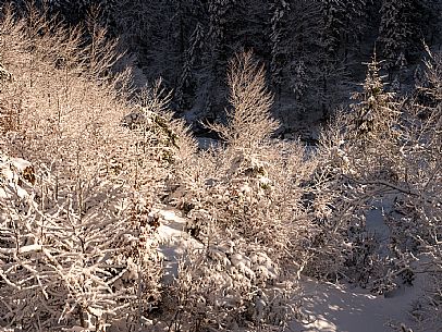 An easy walk with snowshoes or winter boots, also suitable for children, which leads from the hamlet of Riofreddo to one of the wildest and most beautiful valleys in the Tarvisio area and the Julian Alps, Cave del Predil.