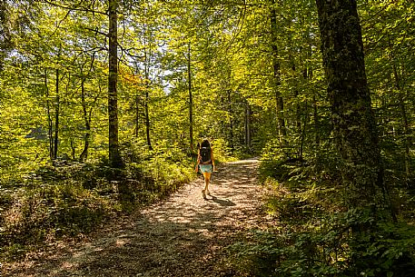 An easy but exciting hike along the new alternative trail to the Pellarini mountain hut in the Julian Alps, starting from Val Saisera, Malborghetto.