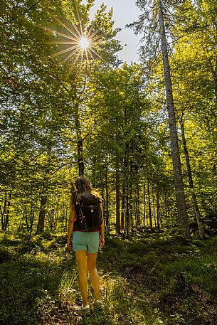 An easy but exciting hike along the new alternative trail to the Pellarini mountain hut in the Julian Alps, starting from Val Saisera, Malborghetto.