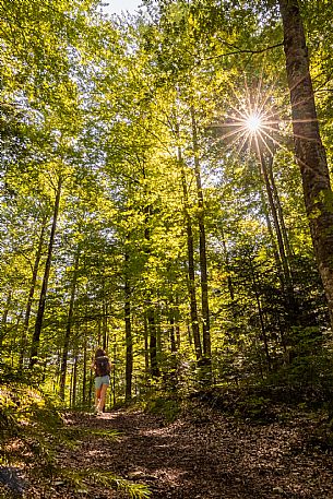 An easy but exciting hike along the new alternative trail to the Pellarini mountain hut in the Julian Alps, starting from Val Saisera, Malborghetto.