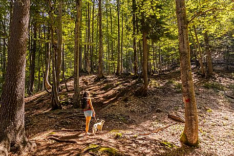 An easy but exciting hike along the new alternative trail to the Pellarini mountain hut in the Julian Alps, starting from Val Saisera, Malborghetto.