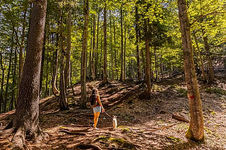 An easy but exciting hike along the new alternative trail to the Pellarini mountain hut in the Julian Alps, starting from Val Saisera, Malborghetto.