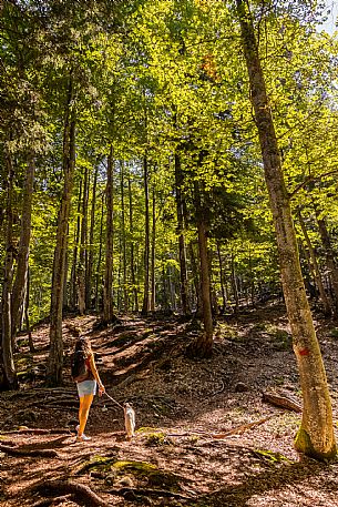 An easy but exciting hike along the new alternative trail to the Pellarini mountain hut in the Julian Alps, starting from Val Saisera, Malborghetto.